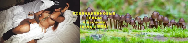 экстази Балахна
