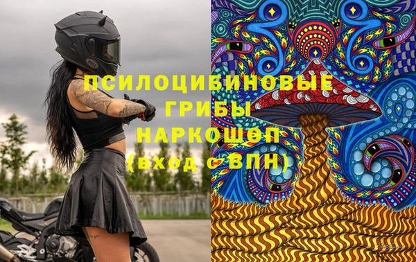 PSILOCYBIN Баксан