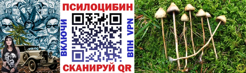 Галлюциногенные грибы Cubensis  как найти наркотики  Макарьев 
